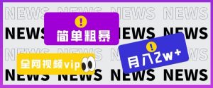 简单粗暴零成本，高回报，全网视频VIP掘金项目，月入2万＋【揭秘】-水滴知识网