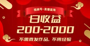 视频号直播蓝海，不需要发作品，不用经验，日入200-2000+【揭秘】-水滴知识网