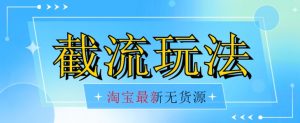 首发价值2980最新淘宝无货源不开车自然流超低成本截流玩法日入300+【揭秘】-水滴知识网