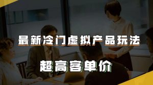 最新冷门虚拟产品玩法，超高客单价，月入2-3万＋【揭秘】-水滴知识网