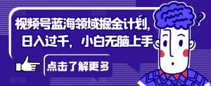 视频号蓝海领域掘金计划，日入过千，小白无脑上手【揭秘】-水滴知识网