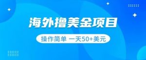 撸美金项目无门槛操作简单小白一天50+美刀-水滴知识网