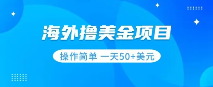 撸美金项目无门槛操作简单小白一天50+美刀-水滴知识网