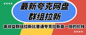 最新夸克网盘群组拉新,高收益群组拉新比普通夸克拉新高一倍的价钱-水滴知识网