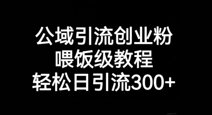公域引流创业粉，喂饭级教程，轻松日引流300+【揭秘】-水滴知识网