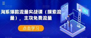 淘系爆款流量实战课(搜索流量),主攻免费流量-水滴知识网