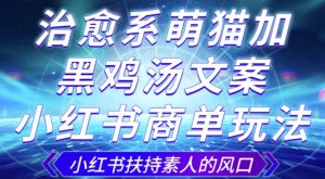 治愈系萌猫加+黑鸡汤文案，小红书商单玩法，3~10天涨到1000粉，一单200左右-水滴知识网