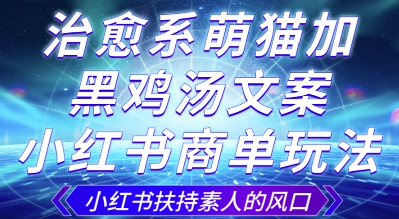 治愈系萌猫加+黑鸡汤文案，小红书商单玩法，3~10天涨到1000粉，一单200左右-水滴知识网
