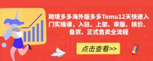 跨境多多海外版多多Temu12天快速入门实操课,入驻、上架、审版、核价、备货、正式售卖全流程-水滴知识网