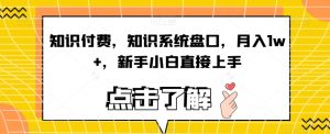 知识付费,知识系统盘口,月入1w+,新手小白直接上手-水滴知识网