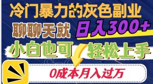 冷门暴利的副业项目，聊聊天就能日入300+，0成本月入过万【揭秘】-水滴知识网