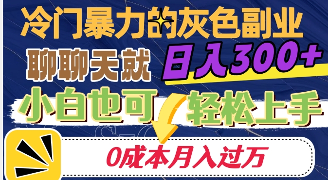 冷门暴利的副业项目，聊聊天就能日入300+，0成本月入过万【揭秘】-水滴知识网