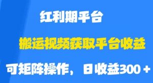 搬运视频获取平台收益，平台红利期，附保姆级教程【揭秘】-水滴知识网