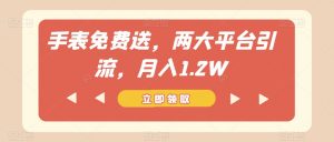 手表免费送，两大平台引流，月入1.2W【揭秘】-水滴知识网