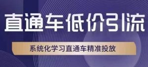 直通车低价引流课,系统化学习直通车精准投放-水滴知识网
