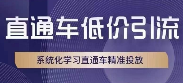 直通车低价引流课,系统化学习直通车精准投放-水滴知识网