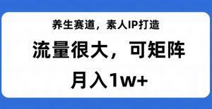 养生赛道,素人IP打造,流量很大,可矩阵,月入1w+【揭秘】-水滴知识网