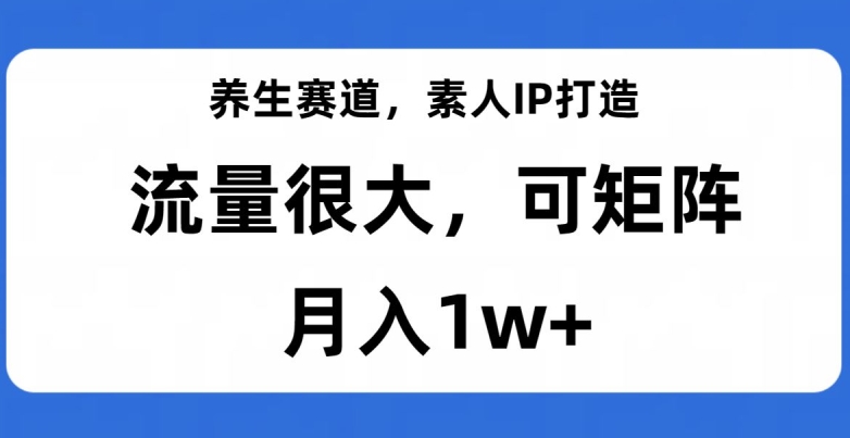 养生赛道,素人IP打造,流量很大,可矩阵,月入1w+【揭秘】-水滴知识网