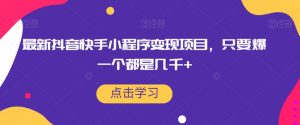 最新抖音快手小程序变现项目,只要爆一个都是几千+-水滴知识网