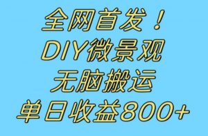 全网首发冷门赛道!DIY微景观,无脑搬运视频,日收益800+【揭秘】-水滴知识网