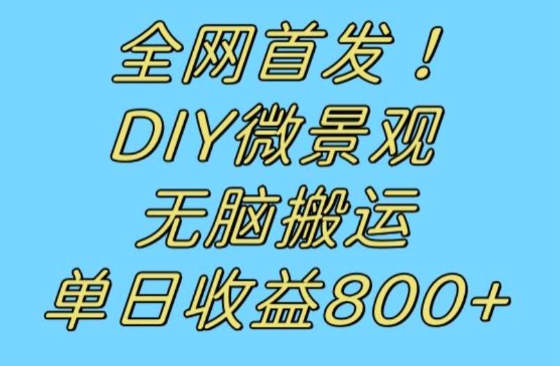 全网首发冷门赛道!DIY微景观,无脑搬运视频,日收益800+【揭秘】-水滴知识网