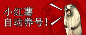 小红书养号秘籍,如何自动涨粉清晰系统标签打造高权重账号【揭秘】-水滴知识网