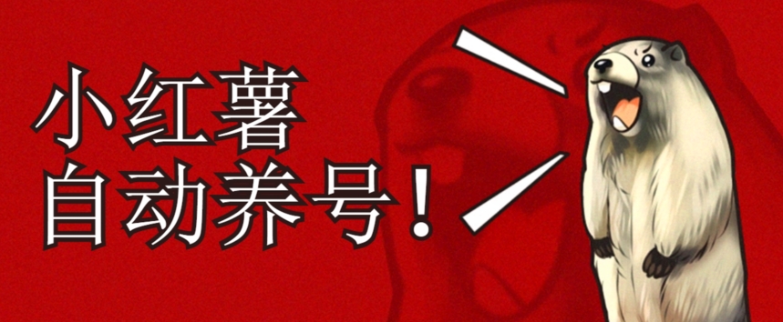 小红书养号秘籍,如何自动涨粉清晰系统标签打造高权重账号【揭秘】-水滴知识网