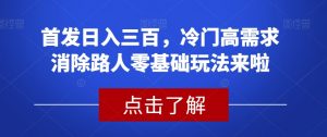 首发日入三百，冷门高需求消除路人零基础玩法来啦【揭秘】-水滴知识网