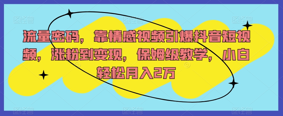 流量密码,靠情感视频引爆抖音短视频,涨粉到变现,保姆级教学,小白轻松月入2万【揭秘】-水滴知识网