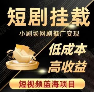2023短视频蓝海项目,抖音快手短剧推广变现教程,低成本高收益-水滴知识网