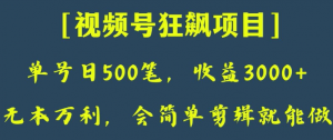 日收款500笔,纯利润3000+,视频号狂飙项目,会简单剪辑就能做【揭秘】-水滴知识网