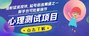 心理测试项目,涨粉猛变现快,起号必选赛道之一,新手也可批量操作【揭秘】-水滴知识网