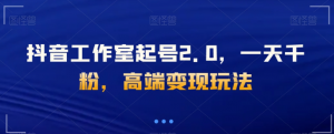 抖音工作室起号2.0，一天千粉，高端变现玩法【揭秘】-水滴知识网