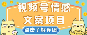 视频号情感文案项目，简单操作，新手小白轻松上手日入200+【揭秘】-水滴知识网