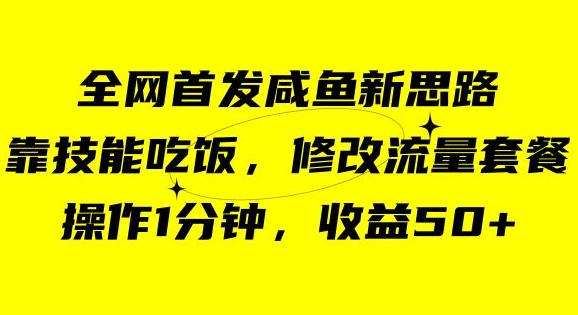 咸鱼冷门新玩法,靠“技能吃饭”,修改流量套餐,操作1分钟,收益50【揭秘】-水滴知识网