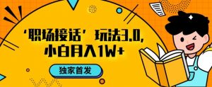 职场接话3.0玩法，小白易上手，暴力变现月入1w【揭秘】-水滴知识网