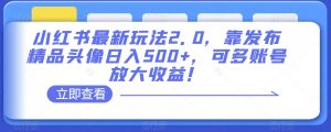 小红书最新玩法2.0,靠发布精品头像日入500+,可多账号放大收益!【揭秘】-水滴知识网