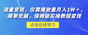 流量变现,仅靠播放量月入1W+,简单无脑,保姆级实操教程【揭秘】-水滴知识网