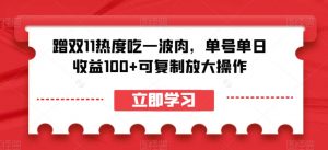 蹭双11热度吃一波肉，单号单日收益100+可复制放大操作【揭秘】-水滴知识网