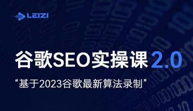 雷子·谷歌SEO 2.0实战课,独立站询盘自由必备,基于2023谷歌最新算法录制-水滴知识网