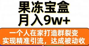 果冻宝盒,一个人在家打造群裂变,实现精准引流,达成被动收入,月入9w+-水滴知识网