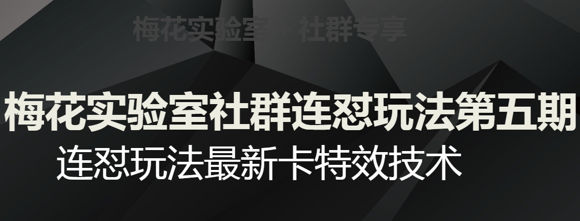 梅花实验室社群连怼玩法第五期，视频号连怼玩法最新卡特效技术-水滴知识网