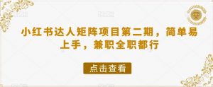 小红书达人矩阵项目第二期,简单易上手,兼职全职都行-水滴知识网
