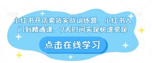 小红书开店卖货实战训练营,小红书入门到精通课,7天时间实现快速变现-水滴知识网