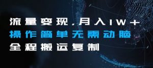 流量变现,月入1W+操作简单无需动脑全程搬运复制【揭秘】-水滴知识网