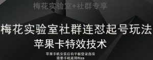 梅花实验室社群视频号连怼起号玩法，最新苹果卡特效技术-水滴知识网