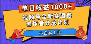 单日收益1000+，视频号全新赛道撸创作者分成计划，小白易上手【揭秘】-水滴知识网