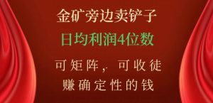 金矿旁边卖铲子，赚确定性的钱，可矩阵，可收徒，日均利润4位数【揭秘】-水滴知识网