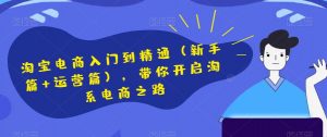 淘宝电商入门到精通(新手篇+运营篇),带你开启淘系电商之路-水滴知识网