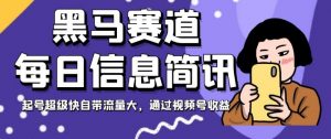 黑马赛道每日信息简讯，起号超级快自带流量大，通过视频号收益【揭秘】-水滴知识网